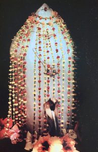 秘密がいっぱいのカウアイ島Kayo Kanagawa