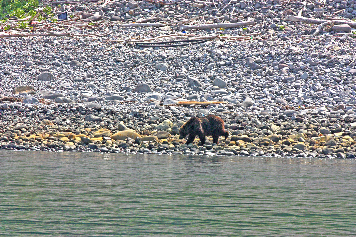 ルシャ湾の現地オプショナルツアー予約＆観光旅行 VELTRA-ベルトラ