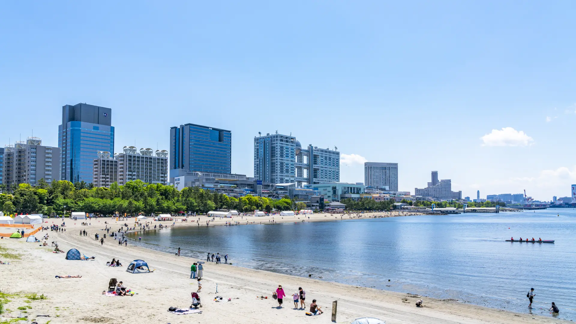 夜の海岸で体験する美しいひととき