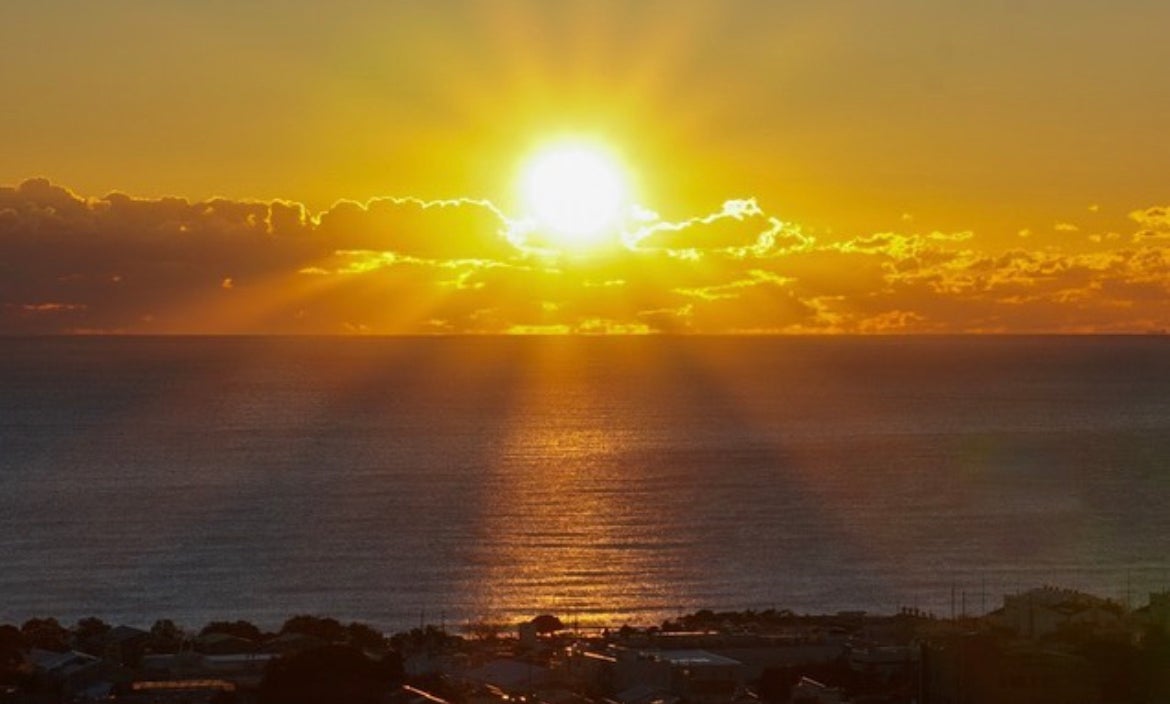 日立市かみね公園 アクセス・営業時間・料金情報 -