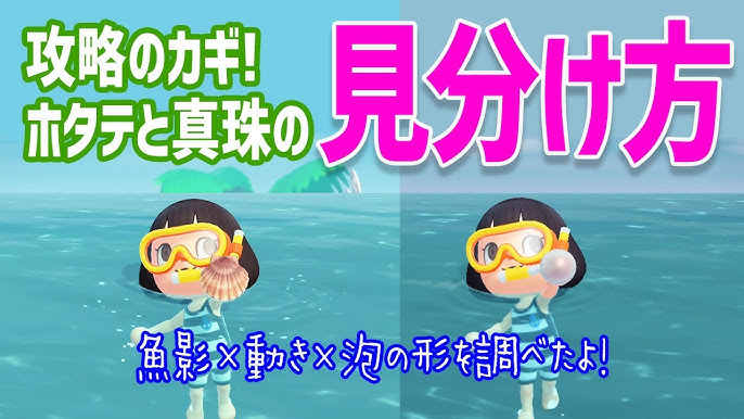 あつ森 ホタテが出る泡の見分け方とラコスケが出てこない時の解決法ほたげむ