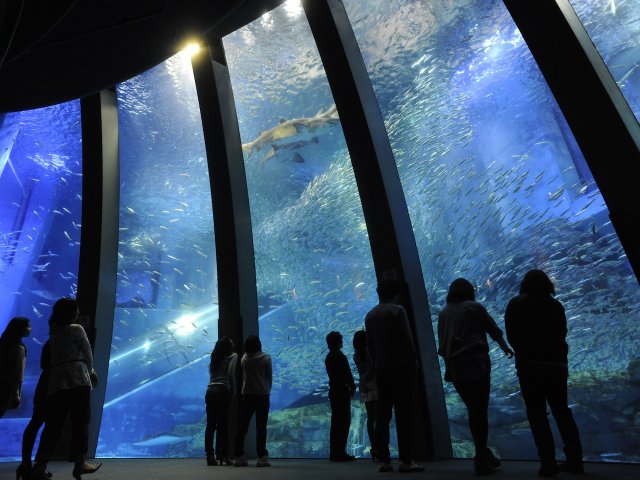 八景島シーパラダイスを徹底解説！割引クーポンも情報も満載 PR