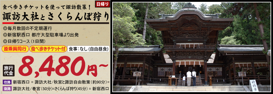 さくらんぼ狩りバスツアー2025ワンダーツアーズ