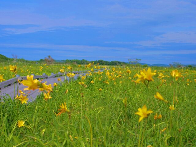 北海道ドライブ：春の札幌市探索TikTok