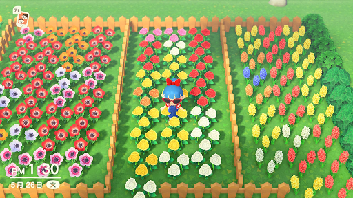 あつ森 効率のいい花の植え方まとめつ