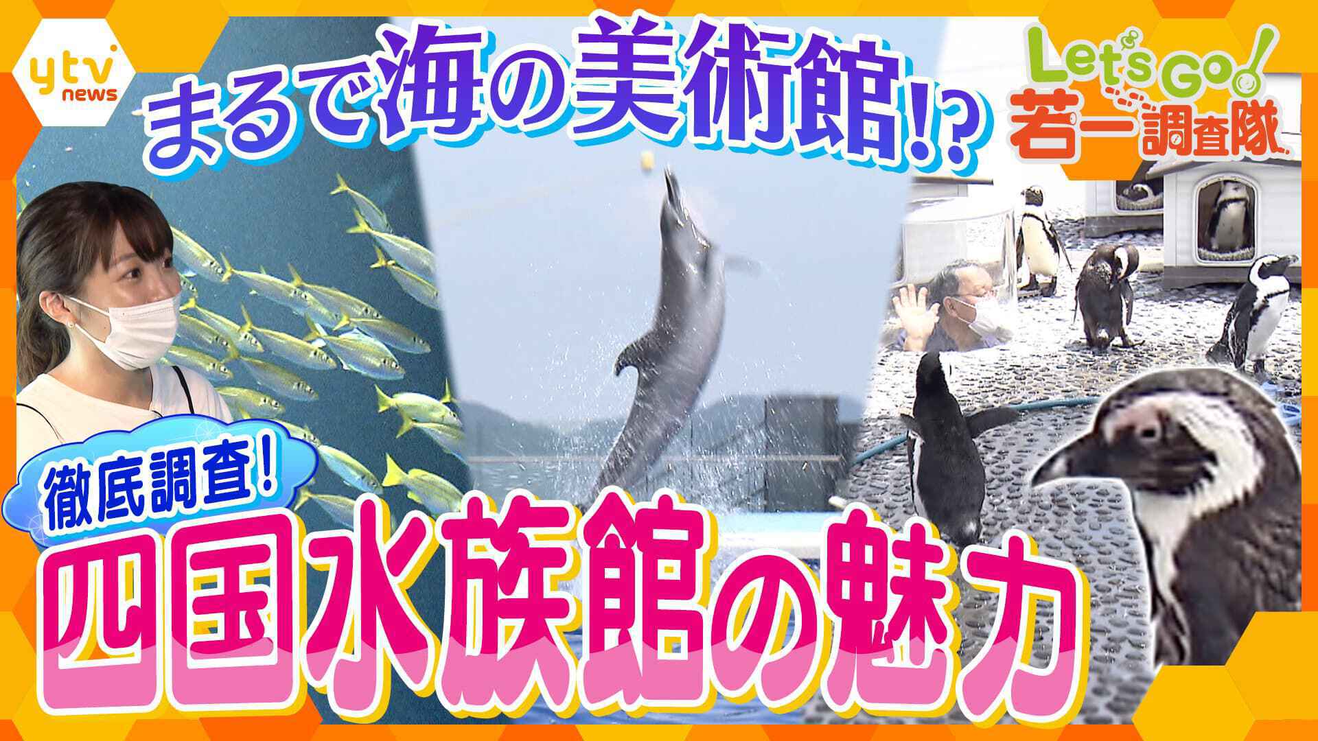 15分だけ四国水族館！にょろワールド