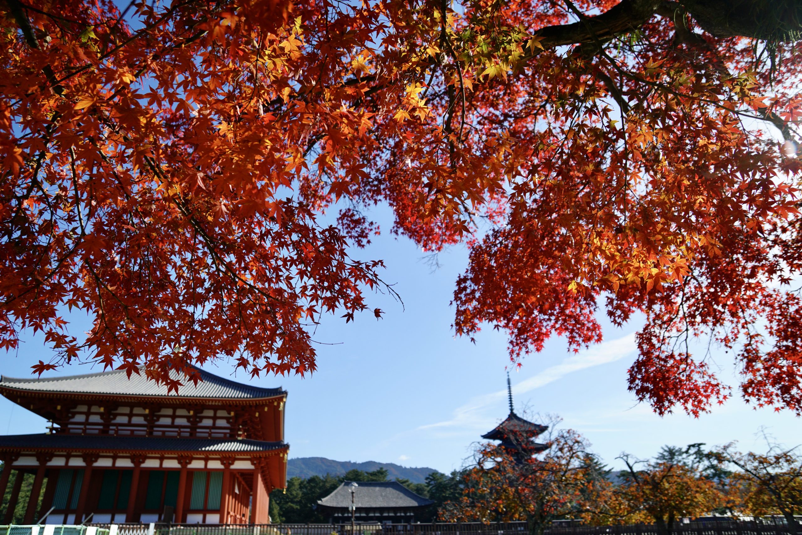 交通案内 - 東大寺