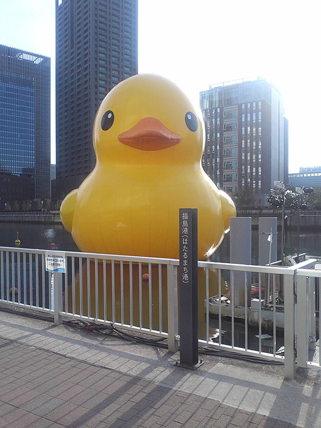 大阪のほたるまち港で特別な体験を2025 年のリアルなLemon8ユーザー体験