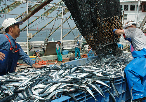 銚子漁港」を特集したメディア向け動画素材を 3月21日より公開！ Pick