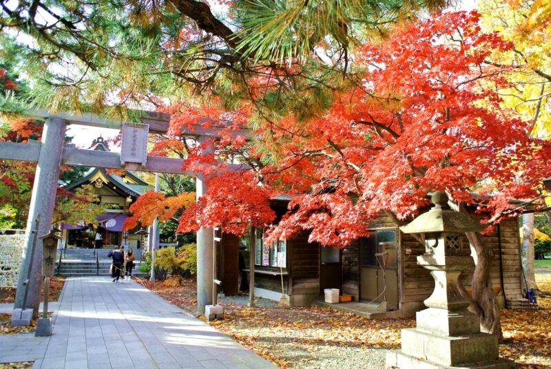 札幌の中心地で自然に囲まれた神前式彌彦神社で叶える結婚式 - 縁結び大学