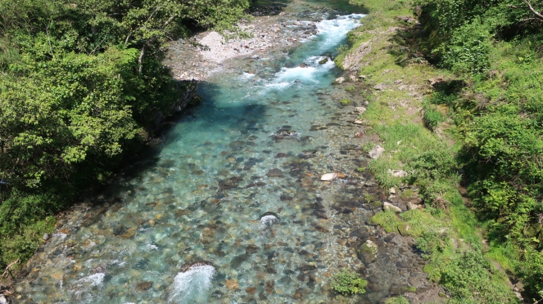 山県市神崎川の流れとごろごろの滝』 : 自然風の自然風だより