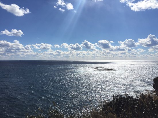 今回ご紹介する自然スポット〜, 勝浦に訪れたら必ず訪れて欲しい透明度抜群な海✨, 「毛戸浦 鵜原理想郷