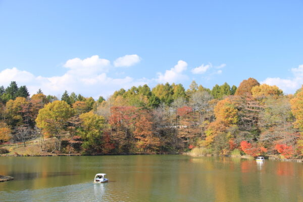 混雑避けて御代田へ＠軽井沢2023 Nov.mahalo*aloha