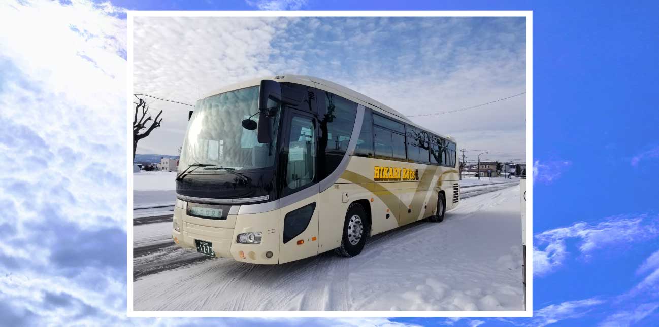 北海道旭山動物園&四季彩の丘&美瑛のクリスマスツリー&森の妖精テラス日帰りツアー 札幌発Klook