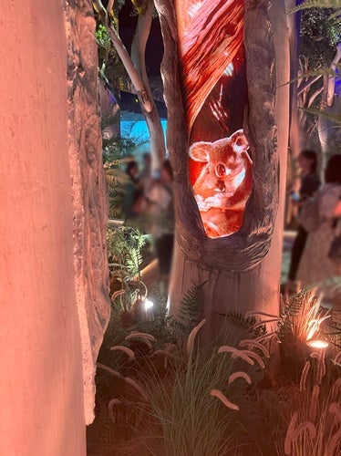 サウジアラビア館の所要時間は？オーストラリア・インドネシア館は待ち時間なし！卵巣がんステージ4から食事療法の闘病ブログ