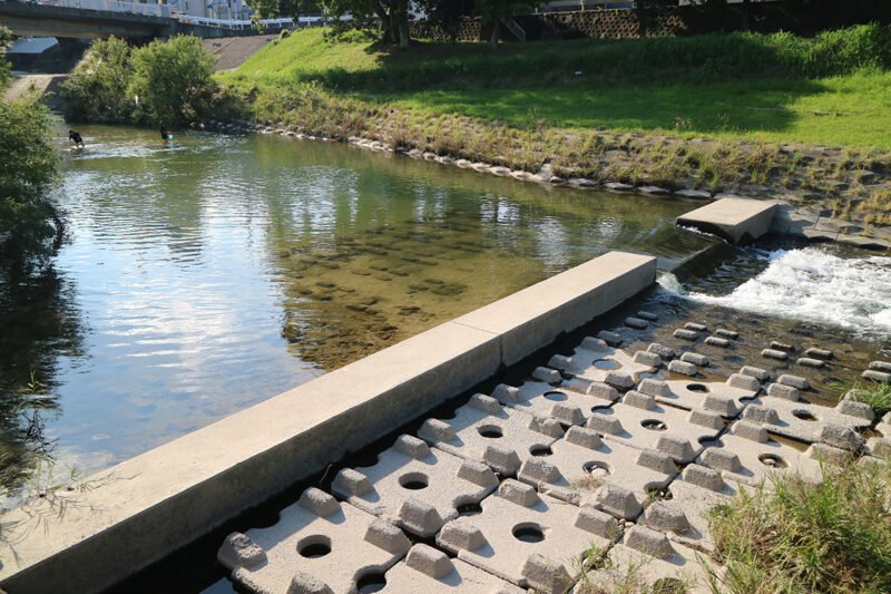 イワナ・ヤマメ釣り 栃木県・那珂川水系全国おすすめ釣り場