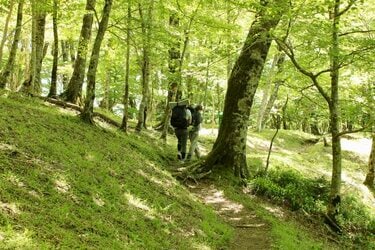 ５月３日出発 登山アカデミー 大峰山 八経ヶ岳