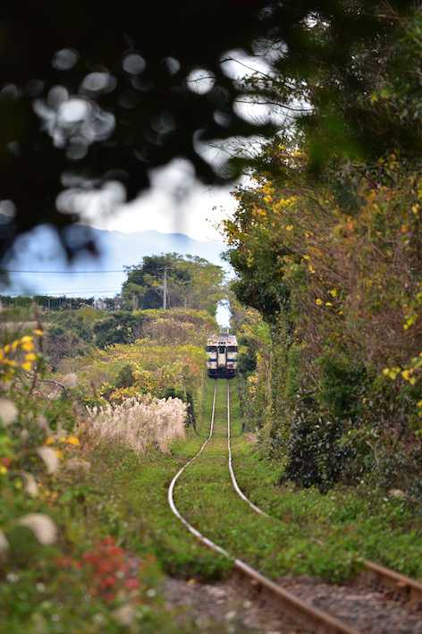 指宿枕崎線 夏の風景 –
