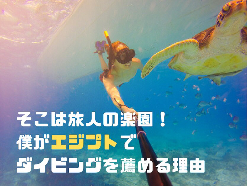 エジプトのダハブで世界一安いダイビング講習にトライ！！飛んでアフリカ 旅して中東