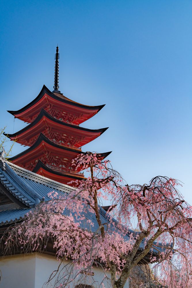 五重塔：中国エリアおでかけガイド：JRおでかけネット