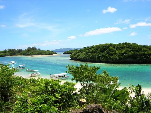 さとうきび畑の唄完全版 レンタル落ちDVD 邦画 沖縄戦 匿名配送致します