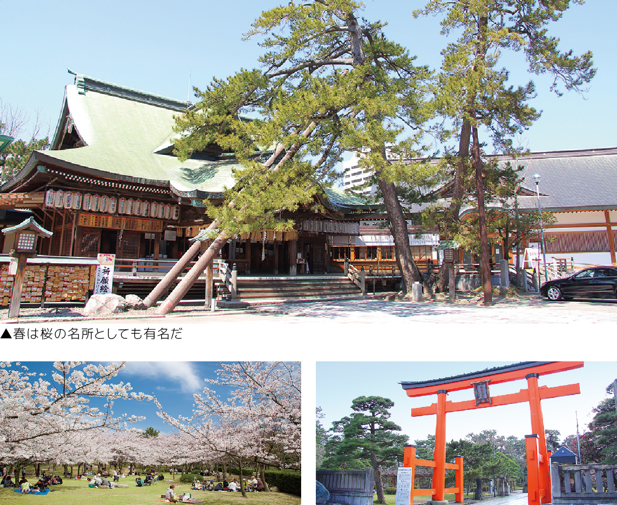新潟総鎮守 白山神社
