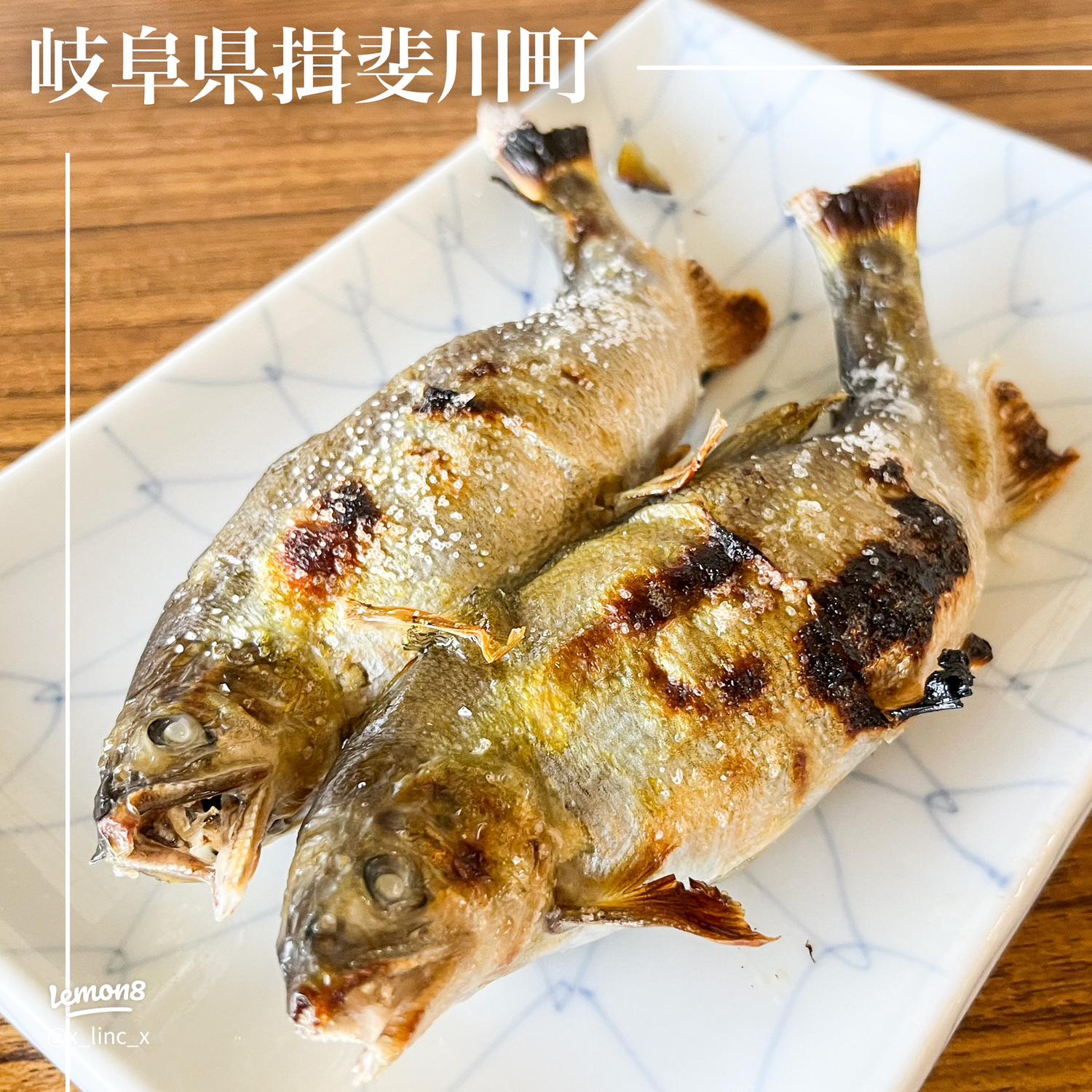 2025 岐阜近郊 ヤナ&鮎料理 おすすめ 12選