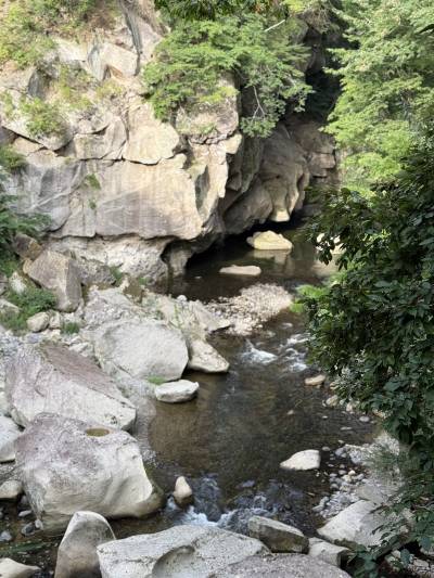 プチ家族旅行で、愛犬レアも一緒に『R with dog』へ☆約束の地へ Love＆Peace