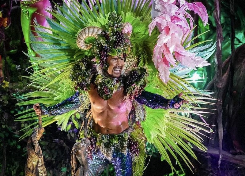 リオのカーニバル リオデジャネイロ 2025年 -