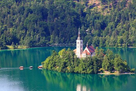 スロベニア旅行記 ブレッド城