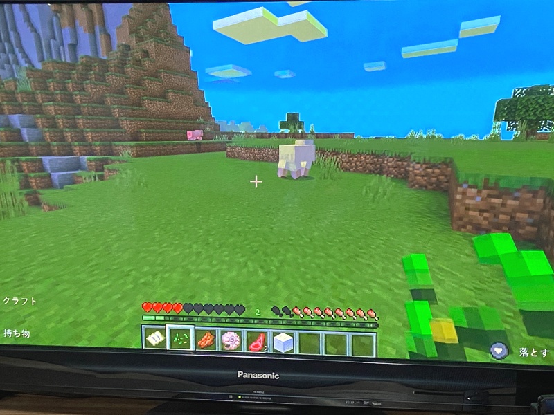 □スイッチ版マイクラ 統合版 ・画面分割マルチプレイの遊び方とトラブル対策、よくある質問