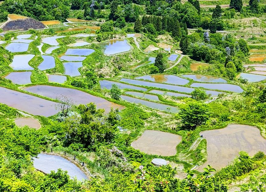 星峠の棚田 クチコミ・アクセス・営業時間十日町・津南 フォートラベル