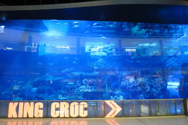 ドバイ水族館と水中動物園の入場券 2025