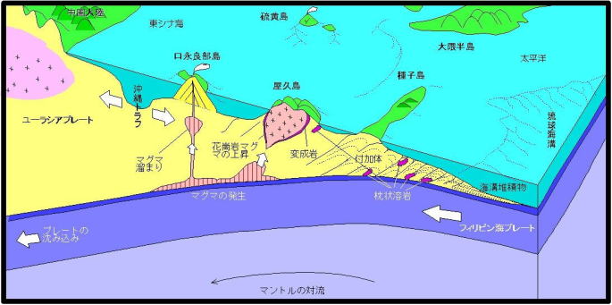 屋久島世界遺産センタ