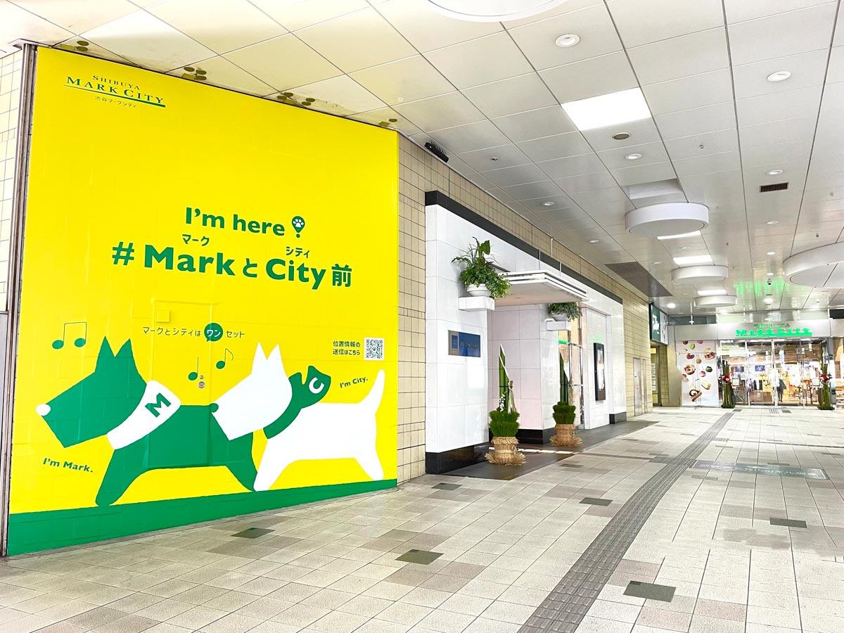 渋谷マークシティ前2 万名以上のスタッフが在籍。街頭配布・サンプリング・ダイレクトハンド・全国対応の株式会社ポイントラグ