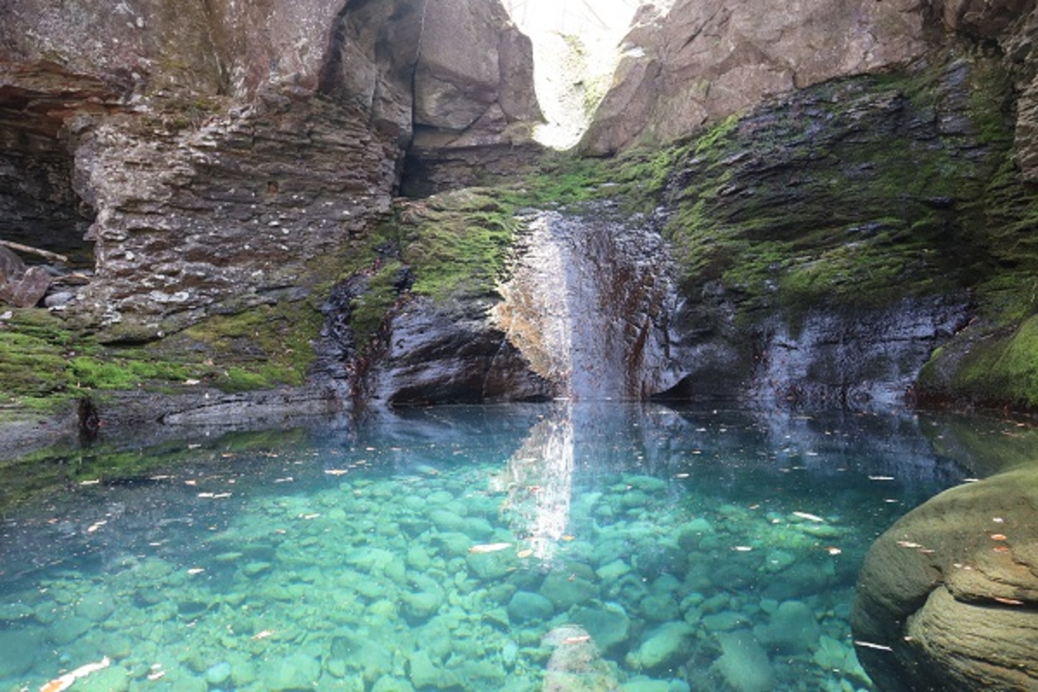 バターのいとこ を手がけた企業がまちをつくった!? 那須の新スポット GOOD NEWS