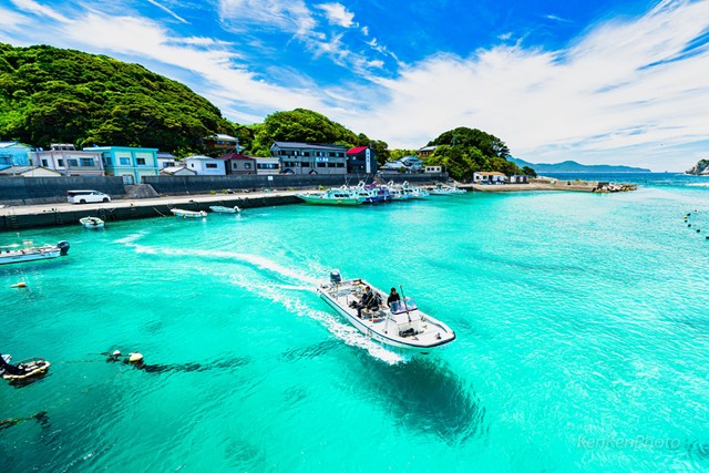 魅惑の穴場ビーチ エメラルドグリーンの海をブタと泳ごう！ビーチもホテルも夢のよう☆カリブの楽園バハマ！トラベルスタンダードジャパン