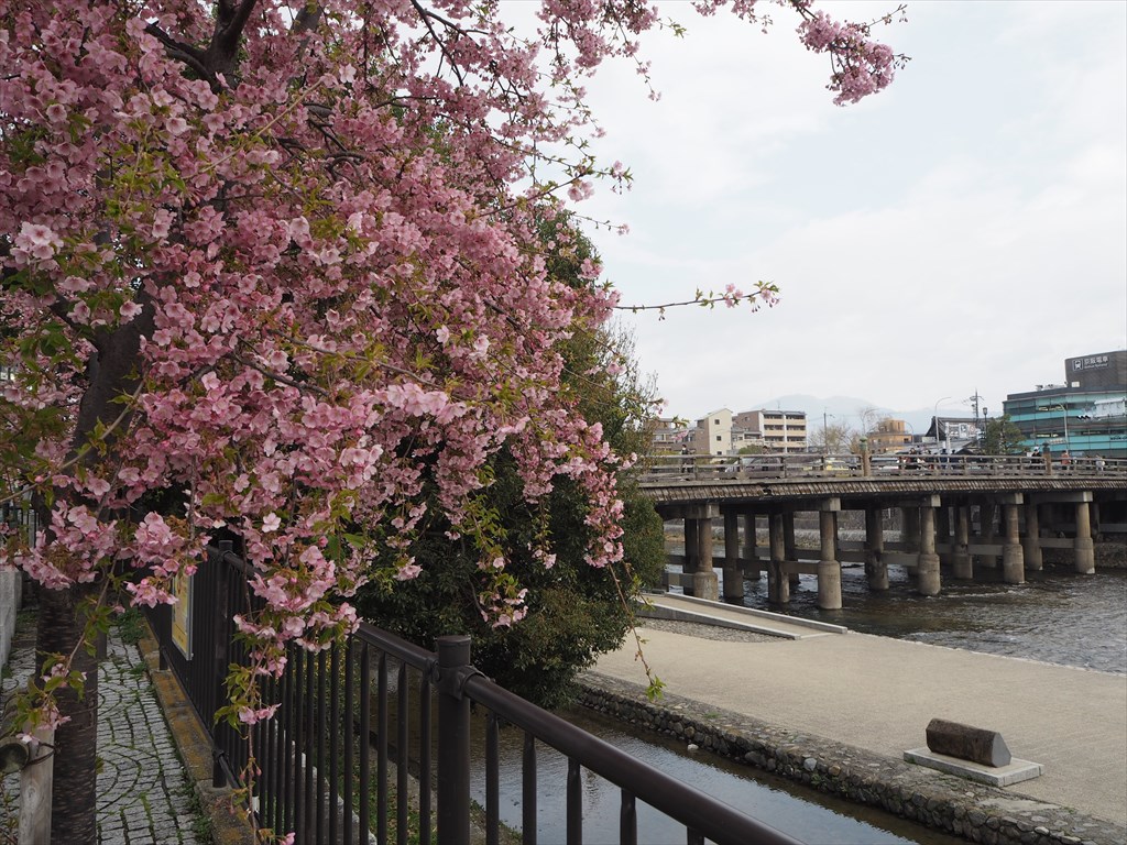 3月のオススメ！奈良中南部の遊び方☆ -公式ブログ 奈良・大和八木「ゲストハウスはじまり」