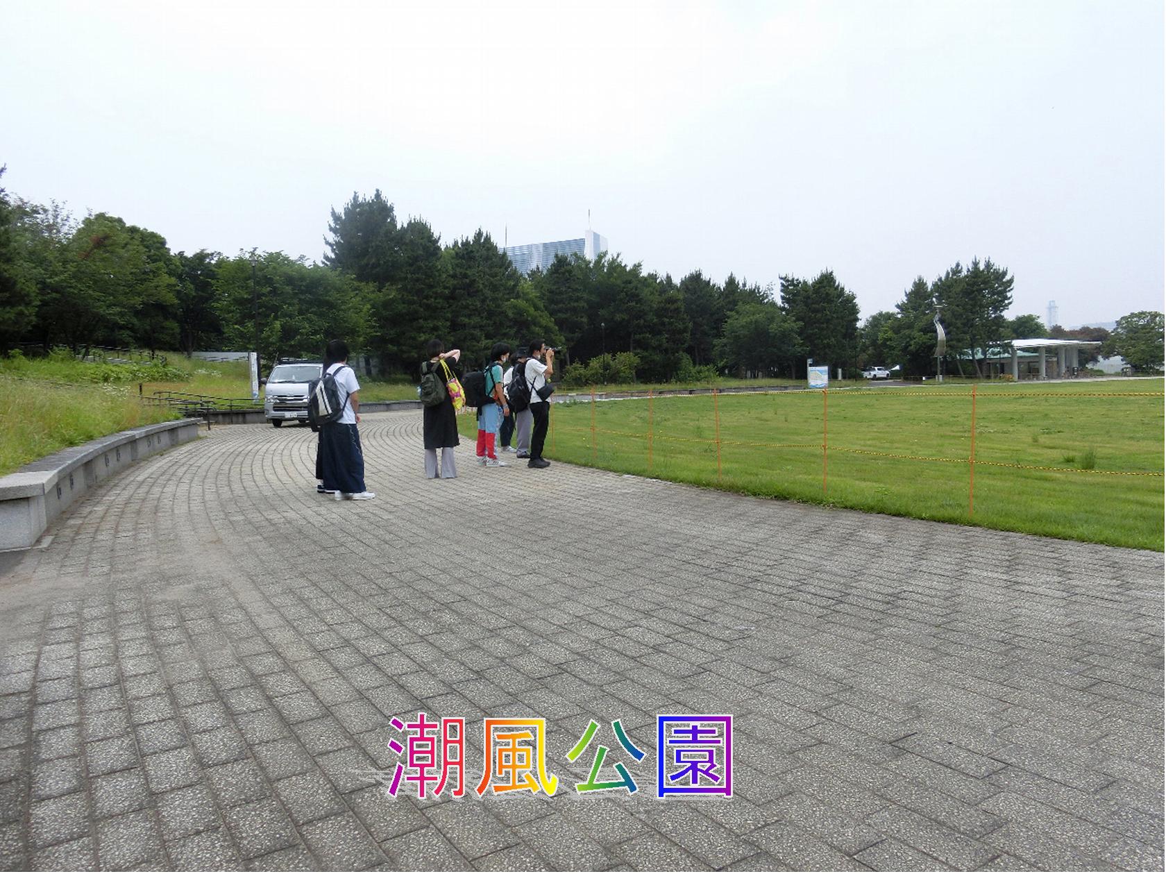 お台場海浜公園より夕日に照らされるレインボーブリッジと夜景を堪能みるみるランド