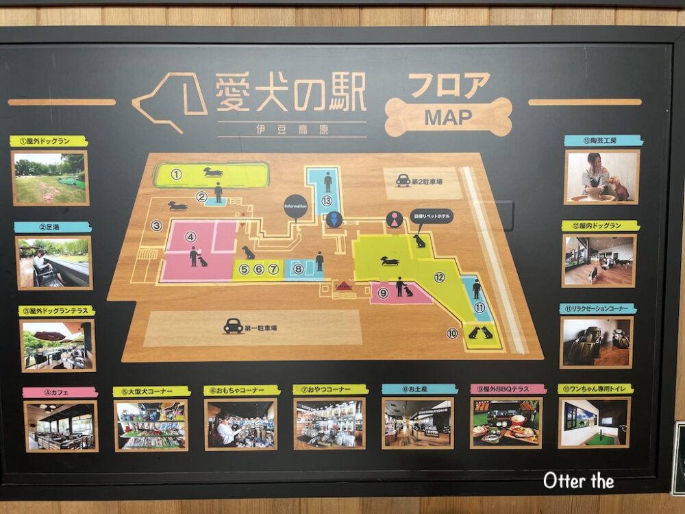 伊豆の犬連れランチ・カフェ13選 ペット可・犬連れOK！名物グルメや人気ランチが楽しめるカフェワンコnowa