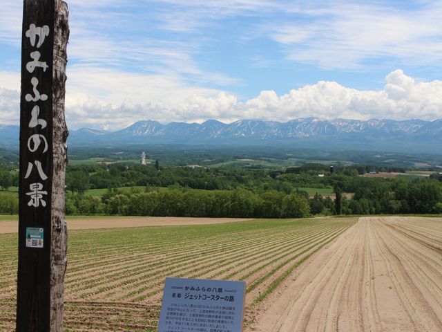パウダーベアさんの投稿 ジェットコースターの路ことりっぷ