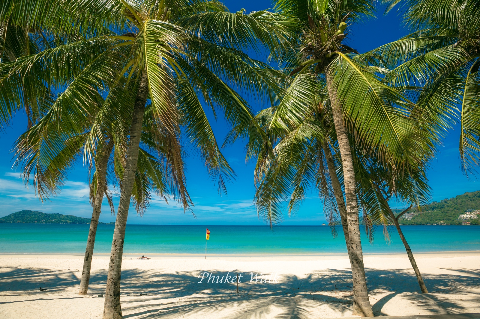 2025年09月17日・プーケット島・パトンビーチの風景ですパトンビーチの空にはパラセーリングが舞い、ビーチにはたくさんのビーチパラソルが並ぶリゾートらしい風景が楽しめました。プーケットプーケット島パトンビーチphuketpatongbeach