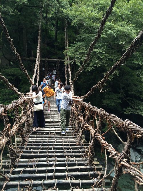 奥祖谷二重かずら橋大歩危祖谷ナビ＜三好市公式観光サイト＞