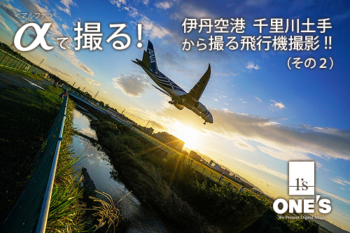 千里川土手 アクセス・営業時間・料金情報 -