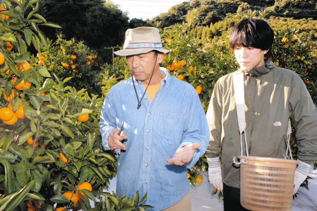 1786：有田みかん畑tabicocolo : 旅心 ：