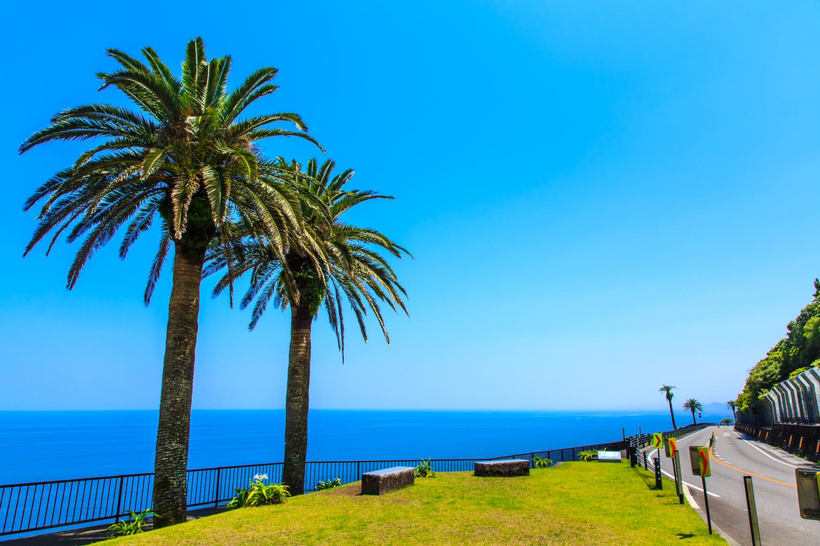 雑誌 定期購読の予約はFujisan 雑誌内検索： 永田がSurftrip