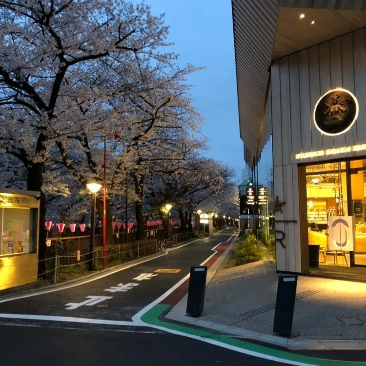 中目黒 目黒川沿い＆裏道を散歩①2022年4月8日 カフェ スイーツ グルメ