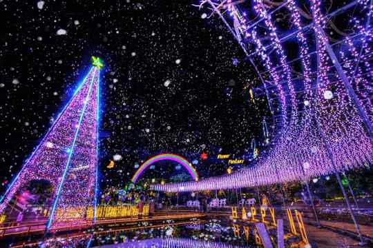 あしかがフラワーパークのイルミネーション「光の花の庭～Flower Fantasy2024-25」。今年は新作エリアも - OZmall