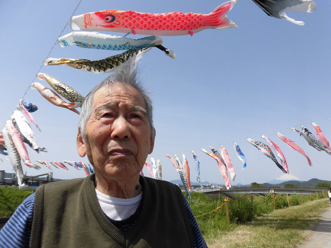 坂上 真大平塚市、鈴川の鯉のぼり祭りInstagram