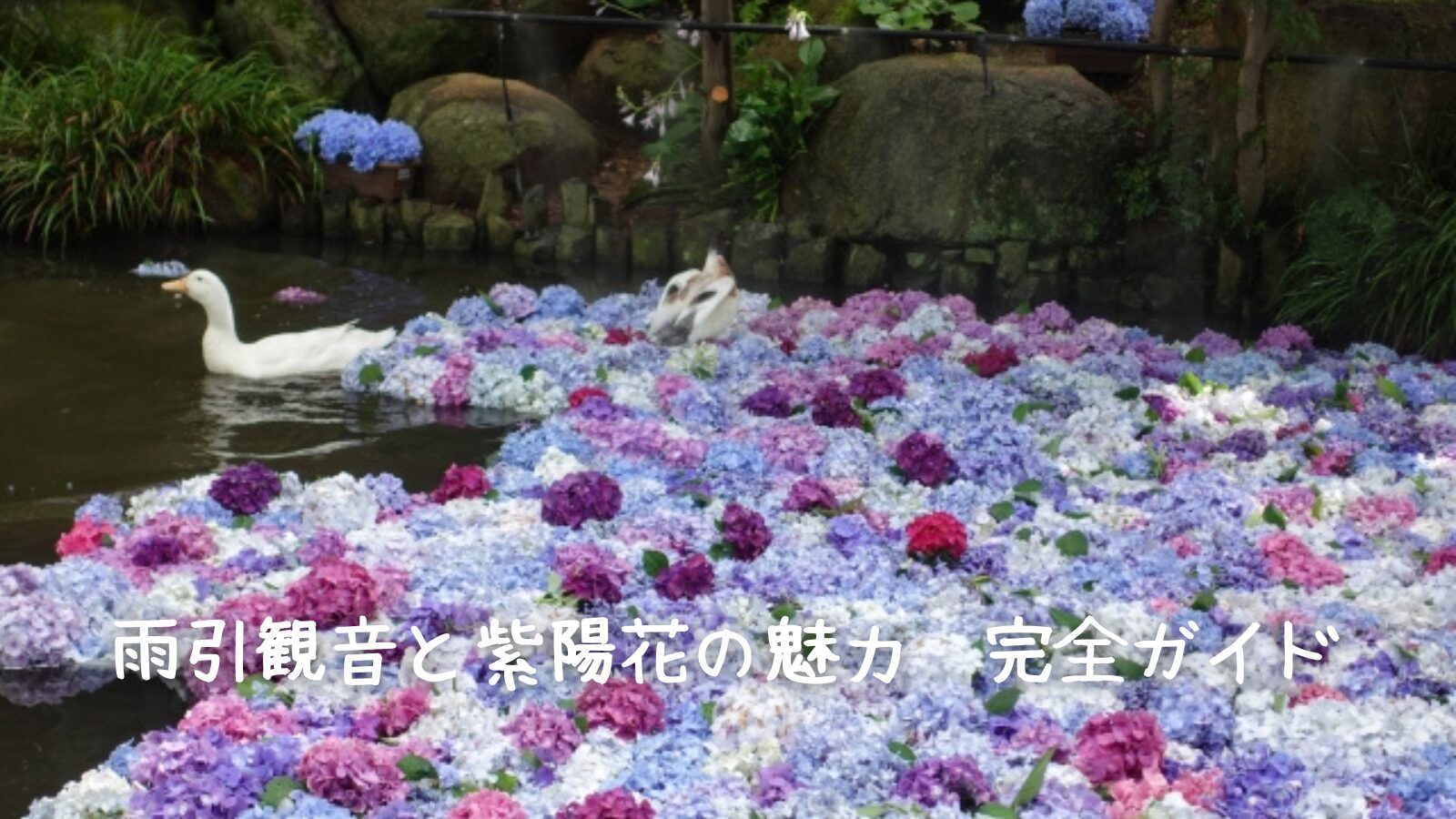 雨引観音へ行ってきました。ナチュラル デイズ